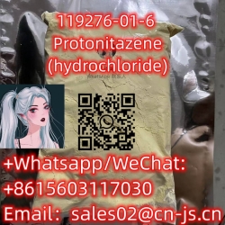 119276-01-6 Protonitazene (hydrochloride)