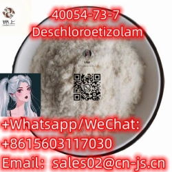 40054-73-7 Deschloroetizolam